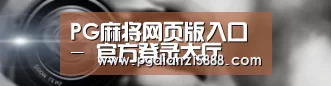 公司动态