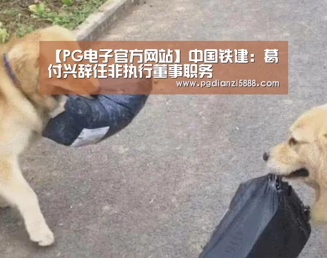 PG麻将网页版入口