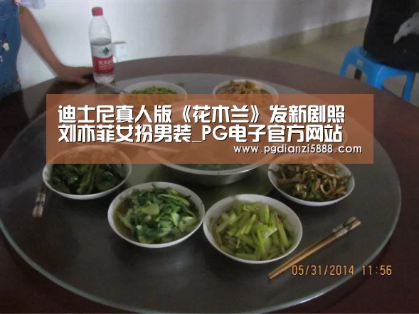 PG电子官方网站