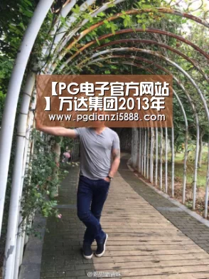 【PG电子官方网站】万达集团2013年收入1866亿(图2) PGAPP下载